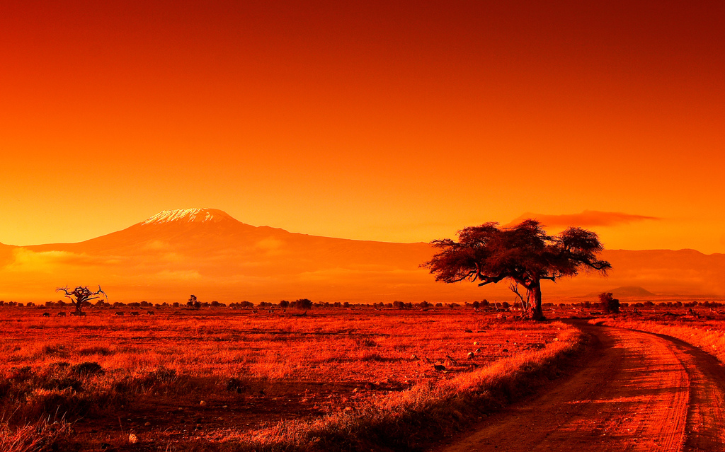 Mt. Kilimanjaro, Africa