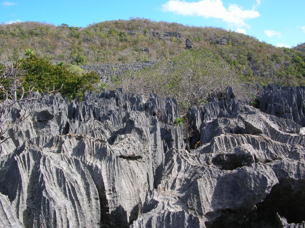 Madagascar Tsingy Ankarana