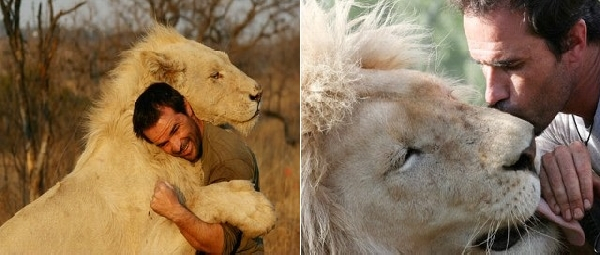kevin richardson lion hug
