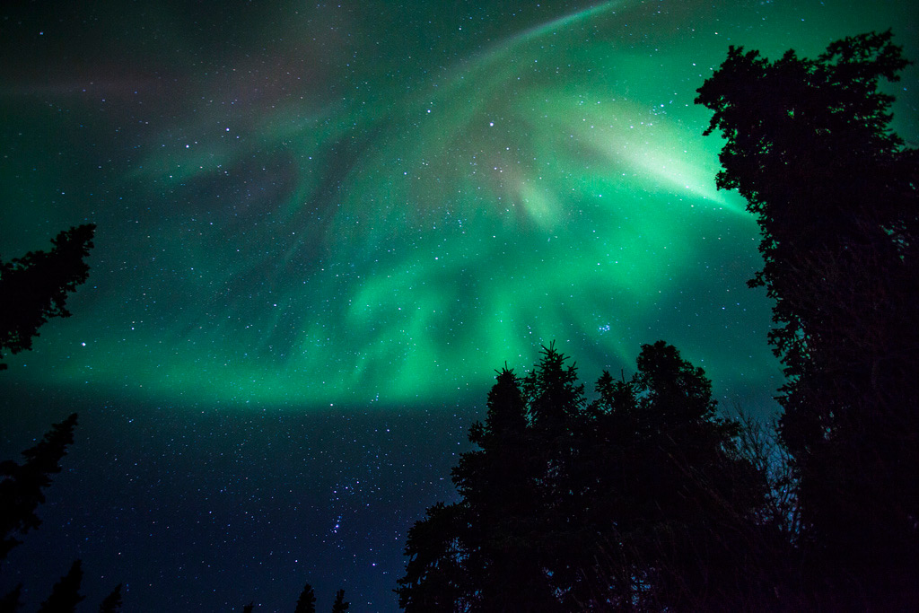 aurora-borealis-denali-national-park
