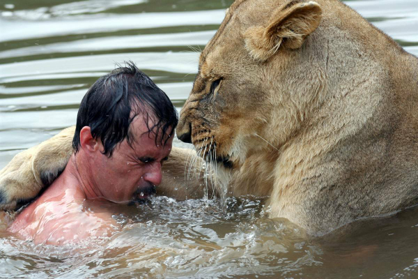 kevin richardson swimming lions